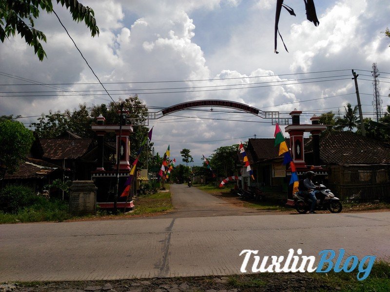 Asus Zenfone 2 Laser ZE550KL Mendarat di Tuxlin Blog! 5 Sampel Foto Kamera Asus Zenfone 2 Laser ZE550KL