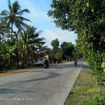 Sampel Hasil Foto Kamera Asus Zenfone 4 Selfie Pro ZD552KL