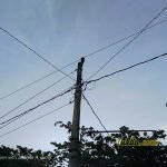 Sampel Hasil Foto Kamera Asus Zenfone 4 Selfie Pro ZD552KL