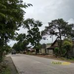 Sampel Hasil Foto Kamera Xiaomi Redmi 5 Plus