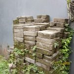 Sampel Hasil Foto Kamera Xiaomi Redmi 5 Plus