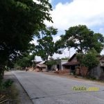Menjajal Honor 7A Smartphone Kekinian Berkamera Ganda, Ini Hasil Fotonya! 23 Sampel Hasil Foto Kamera Honor 7A