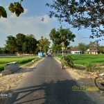 Sampel Hasil Jepretan Kamera Asus Zenfone 5 ZE620KL