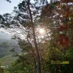 Kayak Gini Rasanya Nyobain Smartphone Flagship Asus Zenfone 5z ZS620KL! 3