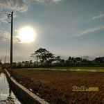 Hasil Foto Kamera Asus Zenfone 5 ZE620KL Siang Hari