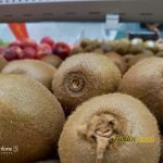 Hasil Foto Kamera Asus Zenfone 5 ZE620KL Macro