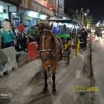 Hasil Foto Kamera Asus Zenfone 5 ZE620KL Malam Hari