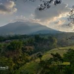 Hasil Foto Kamera Asus Zenfone 5 ZE620KL Siang Hari