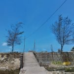 Hasil Foto Kamera Asus Zenfone 5 ZE620KL Siang Hari