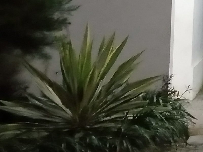 Hasil Foto Kamera Infinix Smart 3 Plus Malam Hari