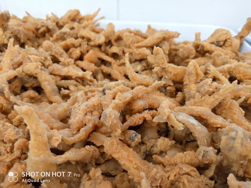 Hasil Foto Kamera Infinix Hot 7 Pro Macro