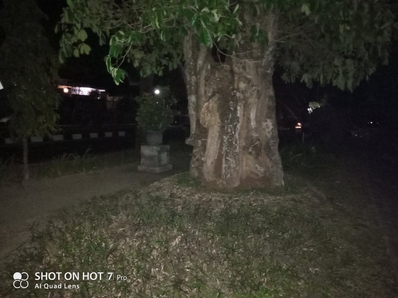 Review Kamera Infinix Hot 7 Pro: Ternyata Kayak Gini Quad Camera Murah 37
