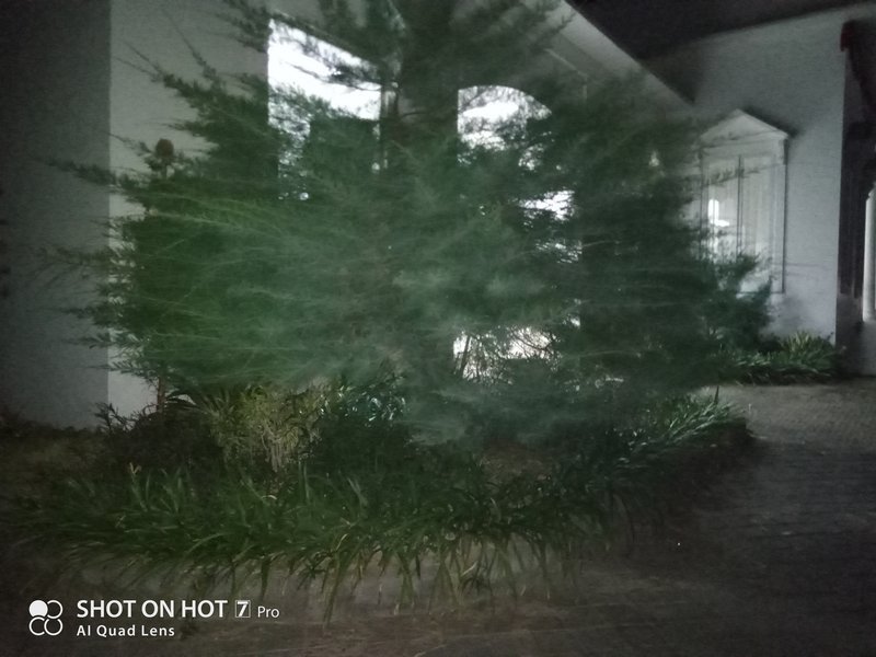 Review Kamera Infinix Hot 7 Pro: Ternyata Kayak Gini Quad Camera Murah 39