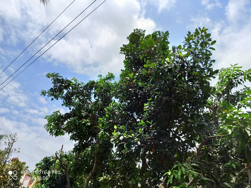 Xiaomi Redmi Note 8 Pro Mendarat di Tuxlin Blog, Begini Kamera 64MP Andalannya 9 Xiaomi Redmi Note 8 Pro Mendarat di Tuxlin Blog, Begini Kamera 64MP Andalannya 9