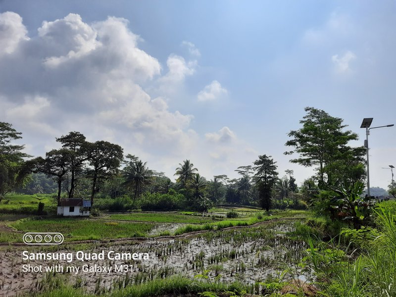 Membeli dan Menjajal Samsung Galaxy M31 di Tengah Wabah Covid-19 14