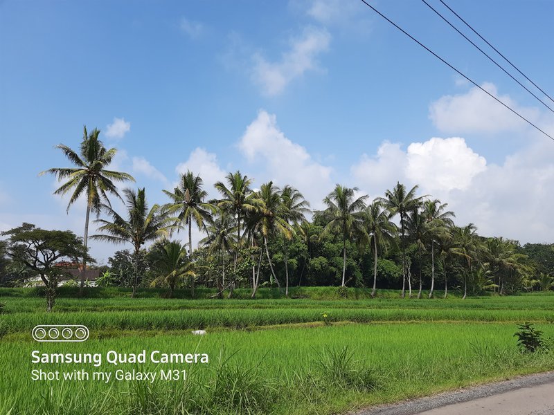 Membeli dan Menjajal Samsung Galaxy M31 di Tengah Wabah Covid-19 6
