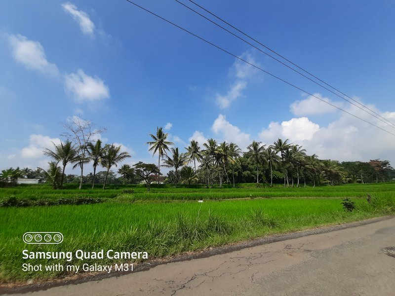 Membeli dan Menjajal Samsung Galaxy M31 di Tengah Wabah Covid-19 8