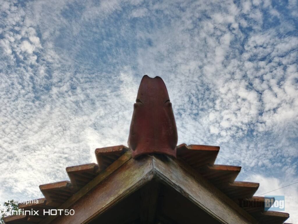 Review Kamera Infinix Hot 50 Berkekuatan 50MP, Bagus Nggak? 11