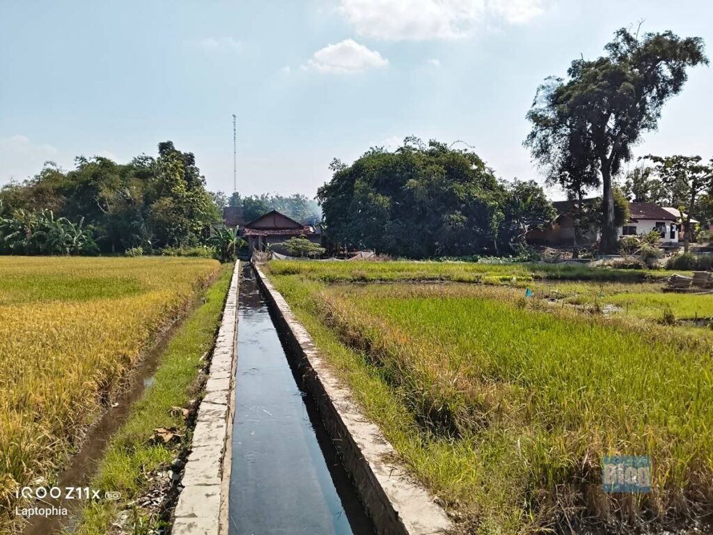 iQOO Z11x 5G Mendarat di Tuxlin Blog, Terbaik Buat Ngojol? 8