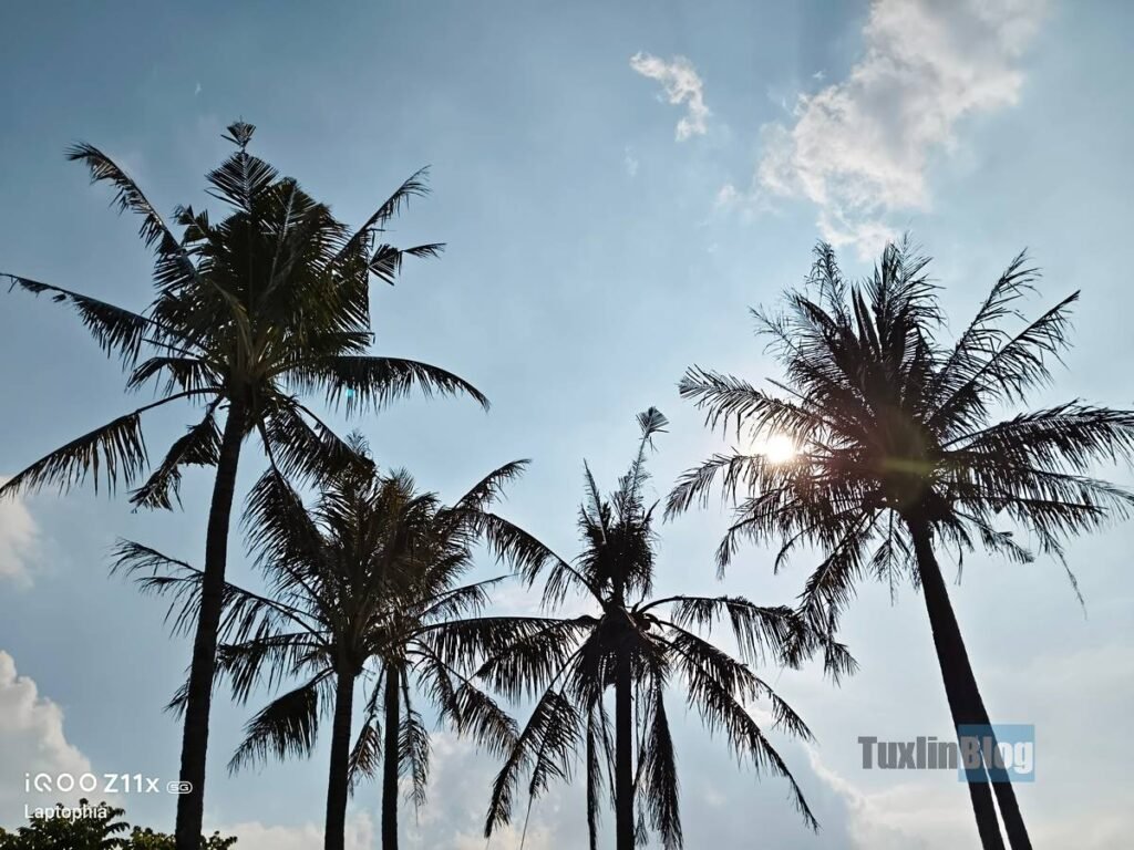 iQOO Z11x 5G Mendarat di Tuxlin Blog, Terbaik Buat Ngojol? 9