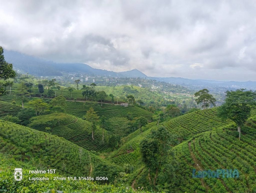Review Kamera Realme 15T Berkekuatan 50MP dengan Sensor OmniVision OV50D40 6