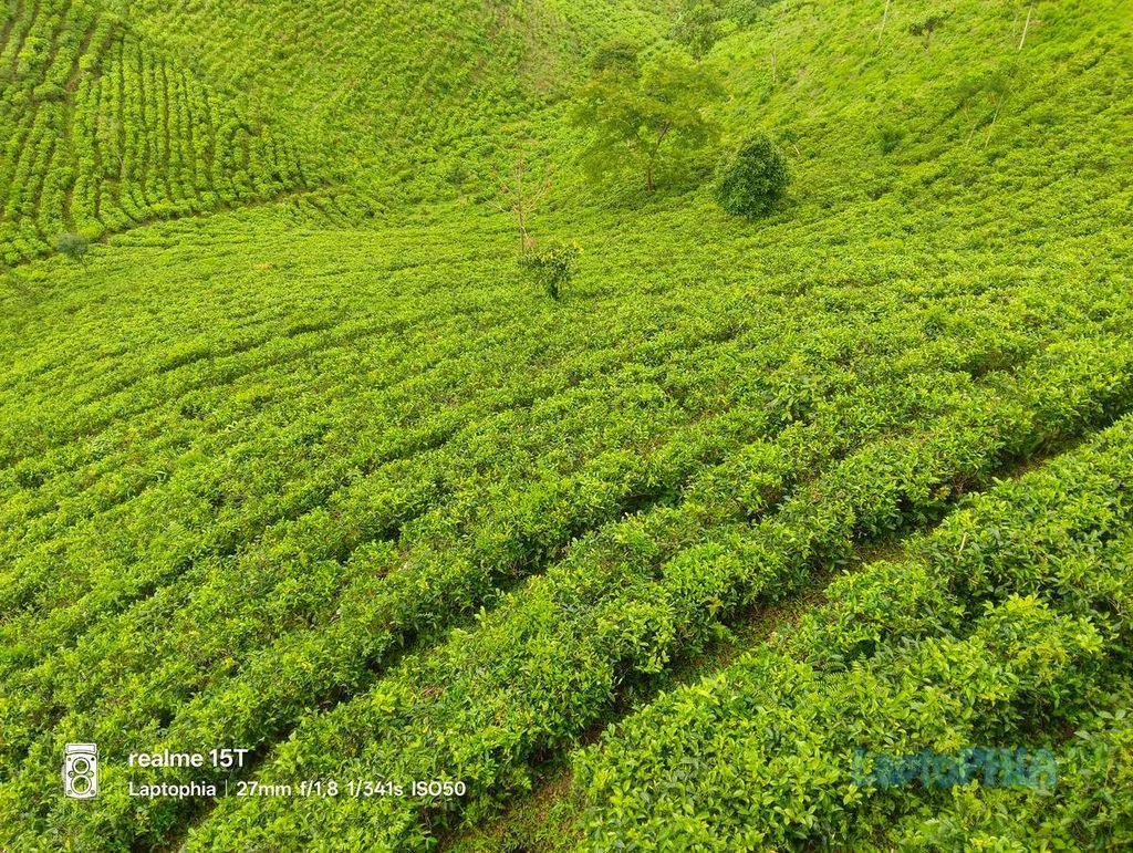 Review Kamera Realme 15T Berkekuatan 50MP dengan Sensor OmniVision OV50D40 8