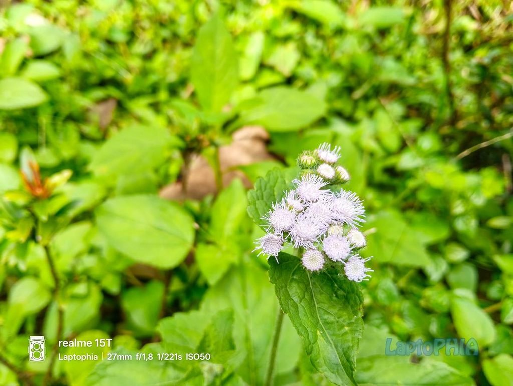 Review Kamera Realme 15T Berkekuatan 50MP dengan Sensor OmniVision OV50D40 18