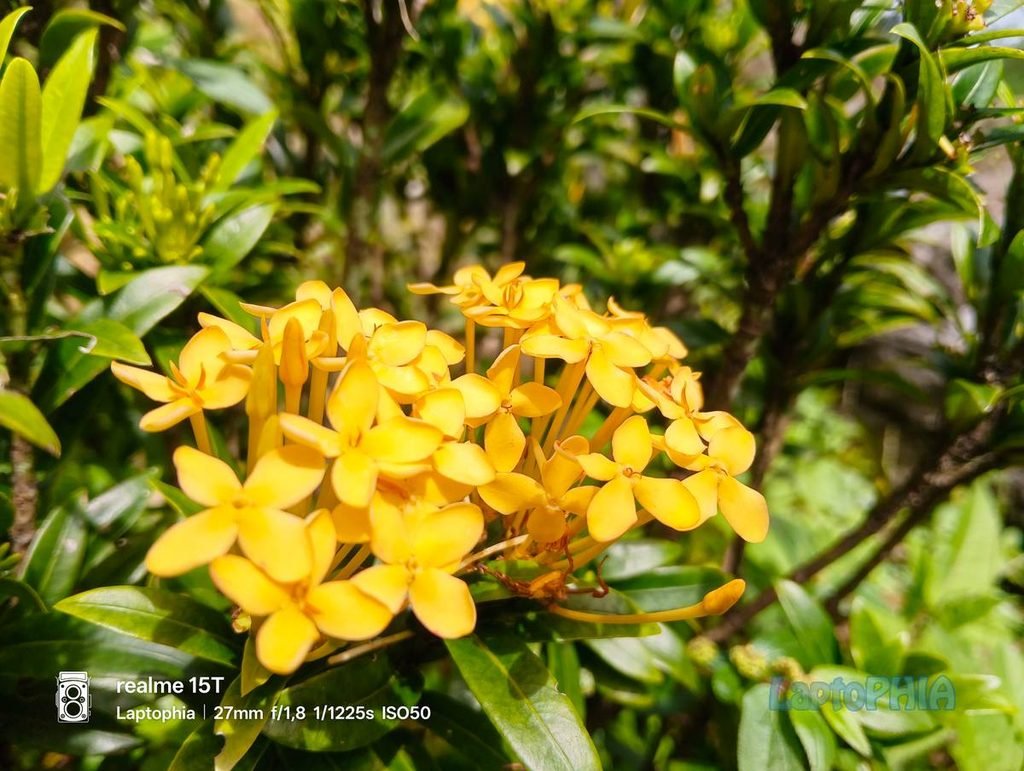 Review Kamera Realme 15T Berkekuatan 50MP dengan Sensor OmniVision OV50D40 19