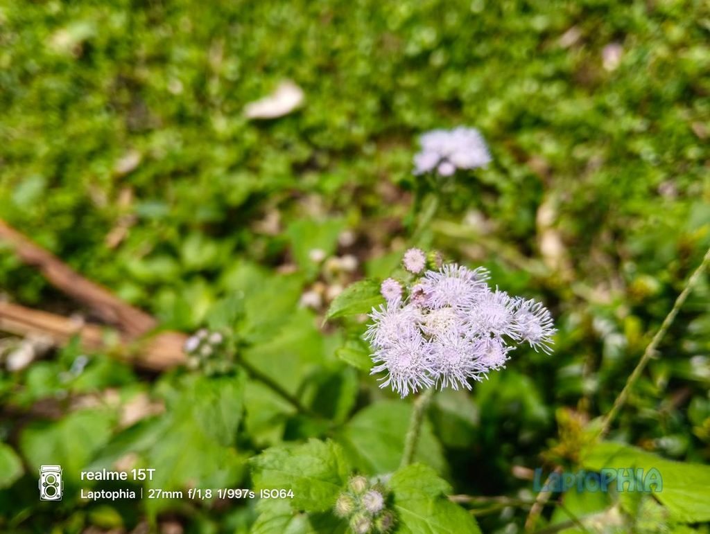 Review Kamera Realme 15T Berkekuatan 50MP dengan Sensor OmniVision OV50D40 20