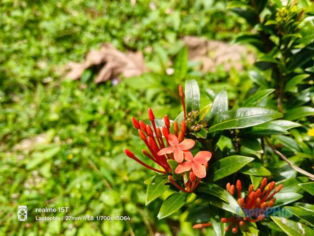 Review Kamera Realme 15T Berkekuatan 50MP dengan Sensor OmniVision OV50D40 21
