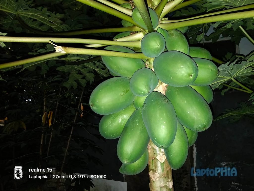 Review Kamera Realme 15T Berkekuatan 50MP dengan Sensor OmniVision OV50D40 36