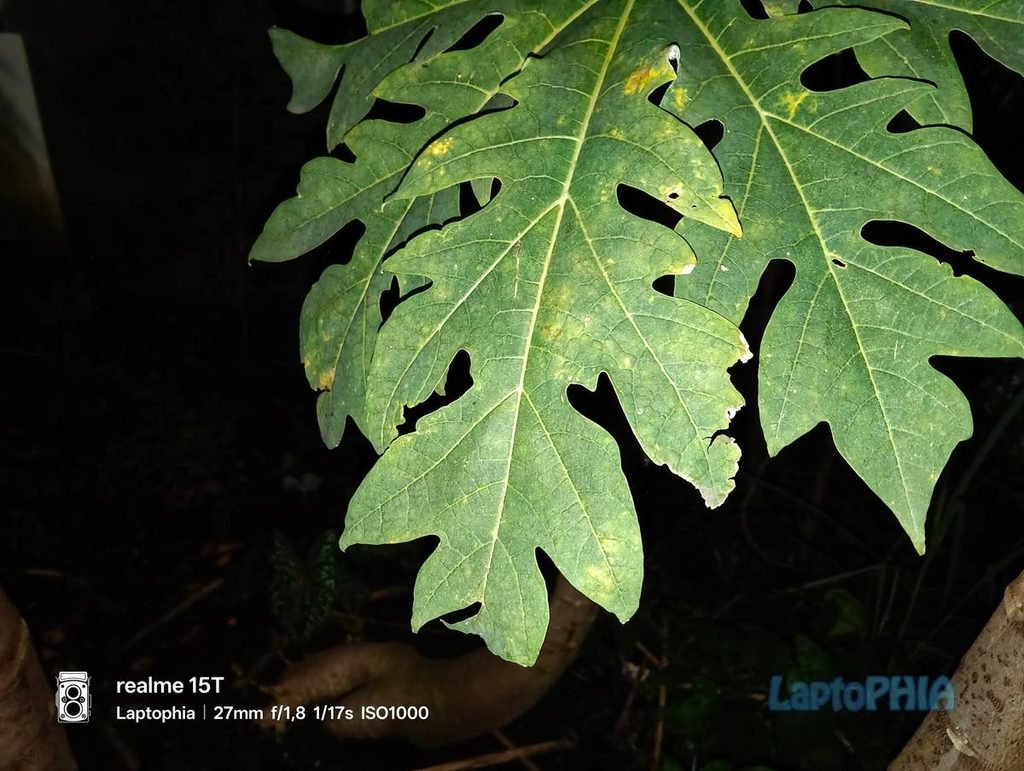 Review Kamera Realme 15T Berkekuatan 50MP dengan Sensor OmniVision OV50D40 37