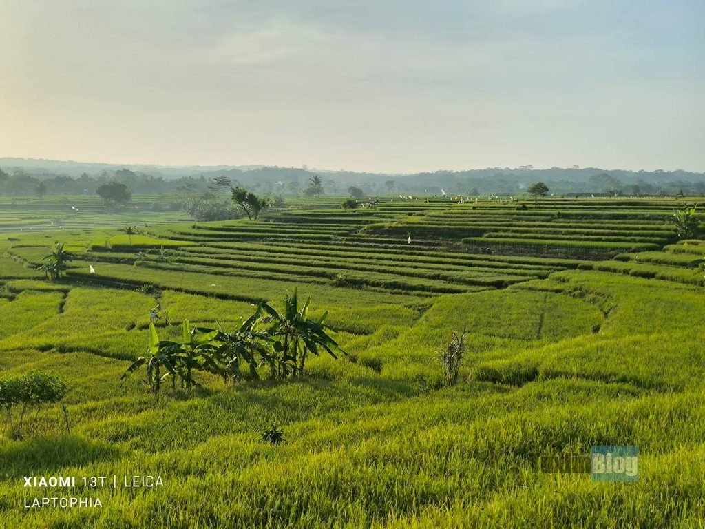 Review Kamera Xiaomi 13T dengan Sensor Sony IMX707, Masih Bersaing dengan HP Sekarang? 9