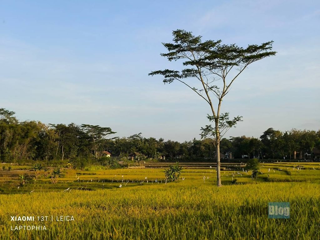 Review Kamera Xiaomi 13T dengan Sensor Sony IMX707, Masih Bersaing dengan HP Sekarang? 46